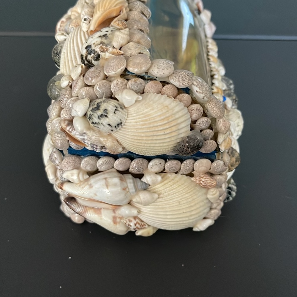 Real SeaShell Jewelry Box - Picture 4 of 5